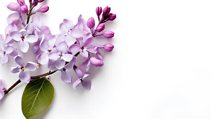 Beautiful flowers bring back memories.