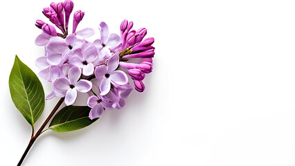 Beautiful flowers bring back memories.