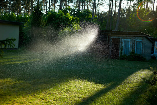 Sunlight filters through a fine mist of water in a backyard, highlighting the spray from a garden hose with a shed and trees in the background.