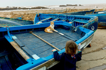 A child gazes at a ginger cat sitting on a blue boat by the seaside.