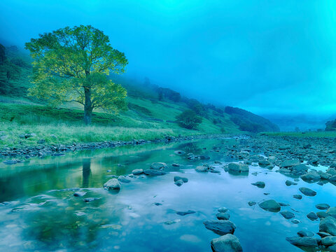 A serene riverscape at twilight with a solitary tree on the bank and a mist-covered hill in the background