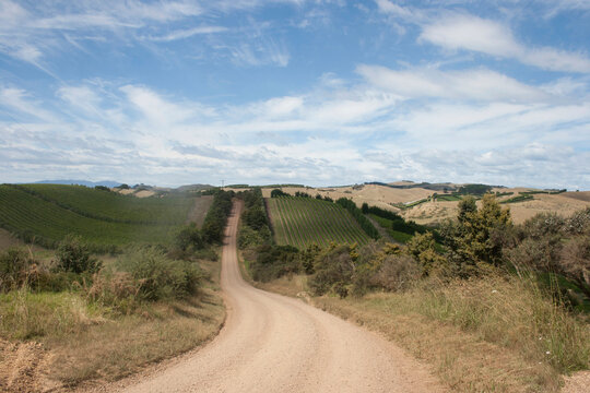 A winding dirt road cuts through rolling vineyard hills under a partly cloudy blue sky.
