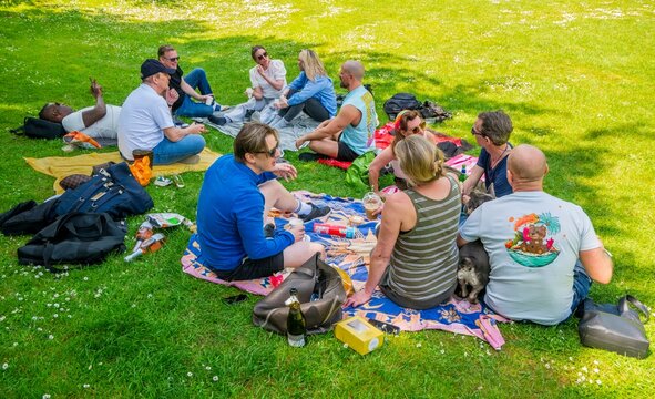 Group of friends enjoying a picnic on a sunny day in a grassy park with a dog.
