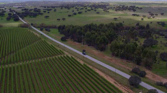 Aerial view of beautiful countryside with road, camper, vineyards, and fields, Odivelas, Beja, Portugal.