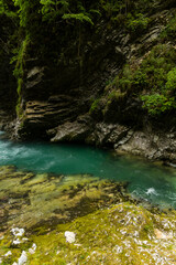 Vintgar Gorges Park a few km from Lake Bled, Slovenia. Wooden walkways accompany the path above the river rapids and waterfalls. River hits rocks and creates fog.Adventure family holidays. Freshness.