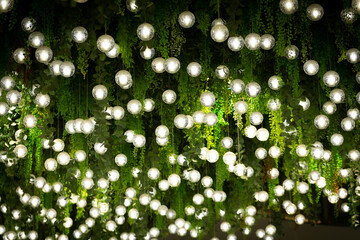 Beautiful lights decorate the ceiling. Covered with green ivy