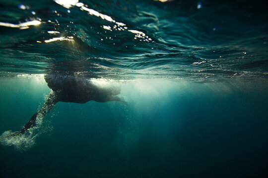 Underwater view of a person swimming with sunlight piercing through the water's surface.