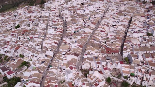 Aerial view of white town with church and castle, Olvera, Andalusia, Spain.