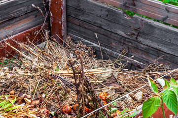 Homemade compost heap made of boards, in the yard. Dry plants and household waste