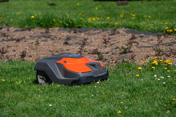 Autonomous Lawn Mower on Green Grass in a Sunny Park During the Day