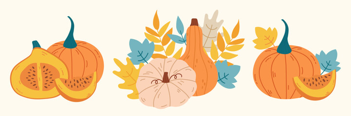Autumn vegetables pumpkin composition set
