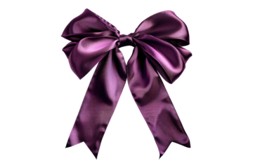 Purple ribbon bow isolated on transparent background