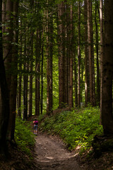 Vintgar Gorges Park a few km from Lake Bled, Slovenia. Wooden walkways accompany the path above the river rapids and waterfalls. River hits rocks and creates fog.Adventure family holidays. Freshness.