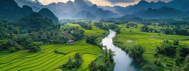A river runs through a lush green valley with rice paddies on either side. The scene is peaceful and serene, with the sun shining through the trees and casting a warm glow over the landscape