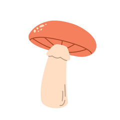 Autumn mushroom. Birch bolete isolated on white background. Fall season flora