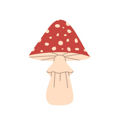 Autumn mushroom. Fly agaric isolated on white background. Fall season flora