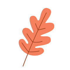 Oak leaf isolated on white background. Autumn tree leaf. Foliage