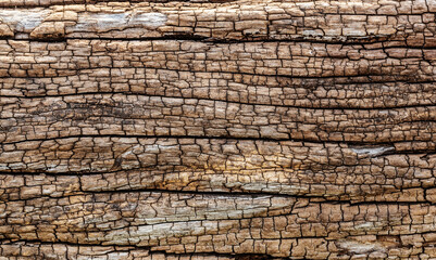 Old wood texture surface, wooden texture background