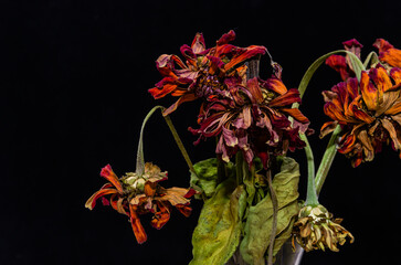 Withered dried flowers in a bouquet