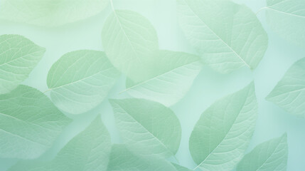 Translucent Leaves Pattern in Soft Green Shades