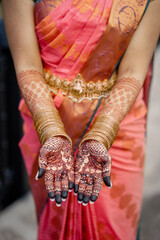 Mehendi Henna art design hindu culture bride hand