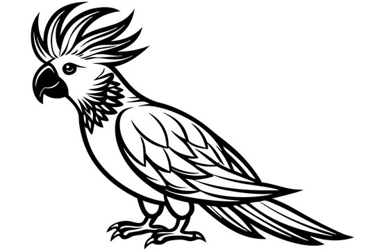 recommend clip art: Solid black outline Cockatoo animal vector