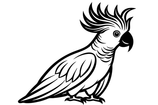 recommend clip art: Solid black outline Cockatoo animal vector