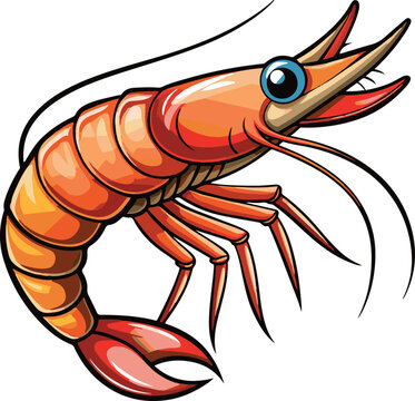 recommend clip art: prawn clip art vector