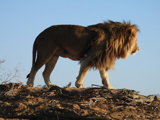 Private Game Reserve 2 