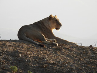 Private Game Reserve 2 
