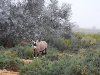 Private Game Reserve 2 