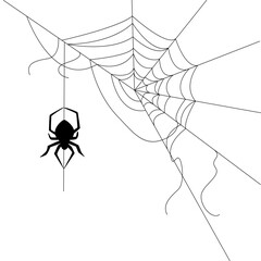 Halloween web with spider background for party. Isolated objects on a transparent background. Doodle Hand Drawn Illustration