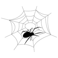Obraz premium Halloween web with spider background for party. Isolated objects on a transparent background. Doodle Hand Drawn Illustration