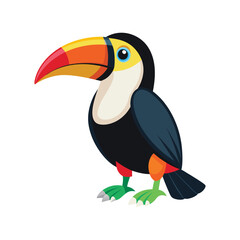 toucan isolated on white background