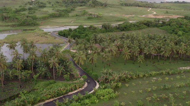 Aerial view of lush greenery and rice paddies at sunset, Pantai Marosi, Sumba Island, Indonesia.