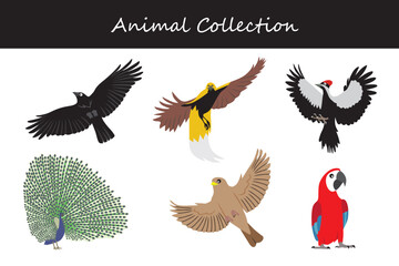 Animals collection. Flat style vector illustration.