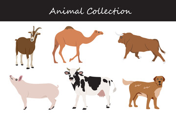 Animals collection. Flat style vector illustration.