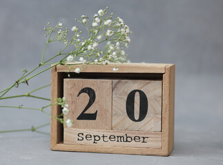 Wooden calendar with the date September 20 and gypsophila flowers on a gray concrete background