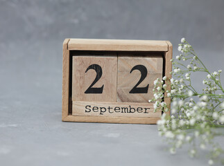 Wooden calendar with the date September 22 and gypsophila flowers on a gray concrete background
