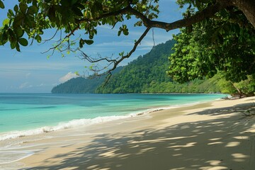 a view of a beach with a tree overhanging the water