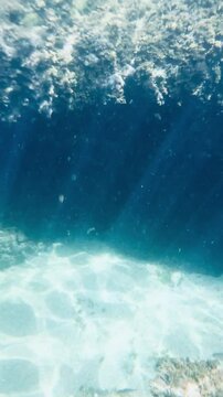Video underwater mediterranean sea.
