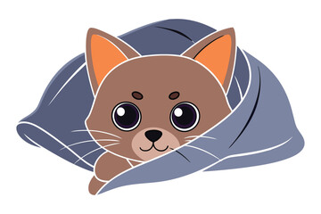 Kitten hiding under a blanket J.eps