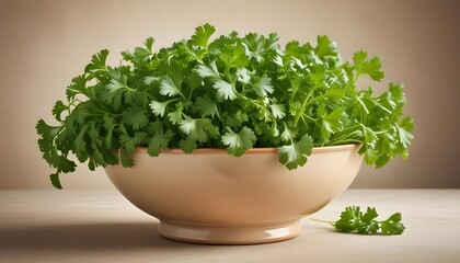 Fototapeta premium Ceramic bowl filled to the brim with lush, verdant parsley leaves, complemented by a small cluster of parsley stems beside it