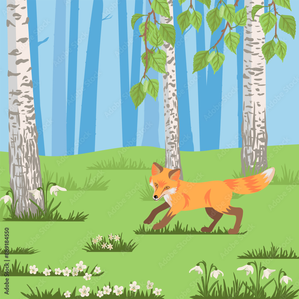 Wall mural vector drawing fox in birch grove, hand drawn animal at green forest with trees and flowers backgrou