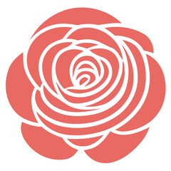 A large red rose with intricate spiral petals against a plain background