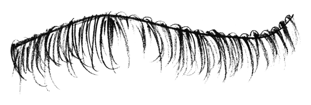 Black pencil strokes in simple style, isolated on transparent background.