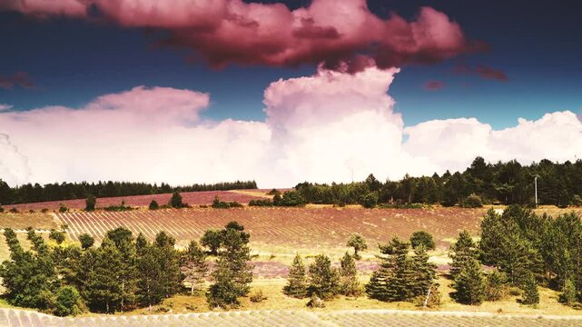 Time lapse of clouds moving over Provence landscape with blooming lavender fields. Sault region, Vaucluse nature, Plateau d'Albion, Provence-Alpes-Cote d'Azur in France.
