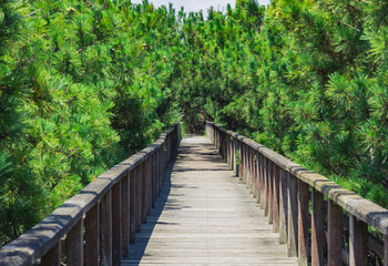 鹿島灘海公園