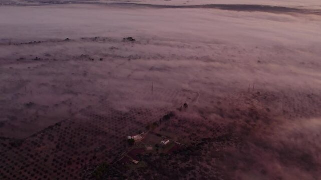 Aerial view of foggy morning landscape with serene city and misty clouds, Ginosa, Italy.