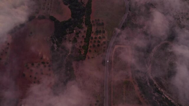 Aerial view of countryside sunrise with farm fields, clouds, and trees, Ginosa, Taranto, Italy.
